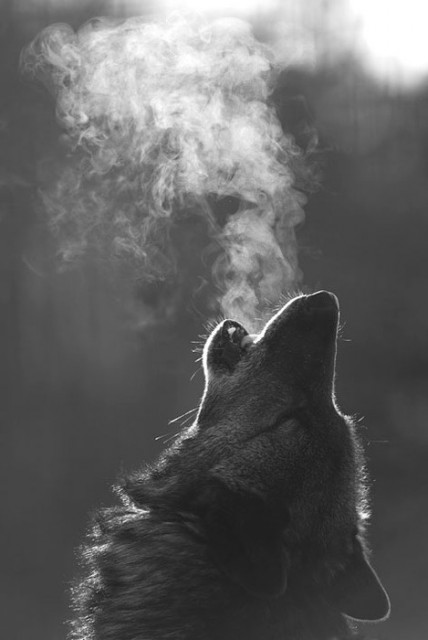 interesting-pictures-16