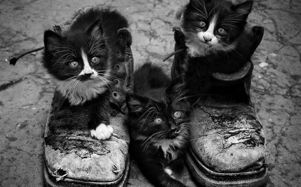 interesting-pictures-23