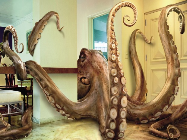interesting-pictures-25