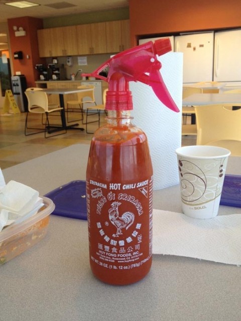 truly-stupid-ideas (11)