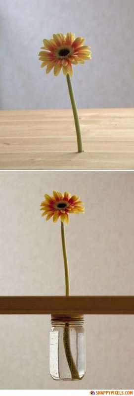 brilliant-simple-ideas-10