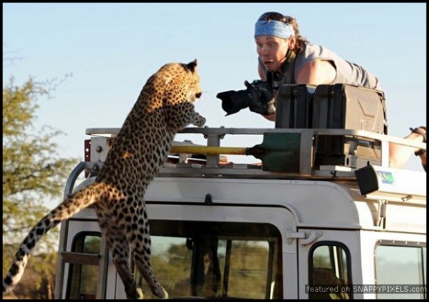 crazy-dangerous-photographers-1