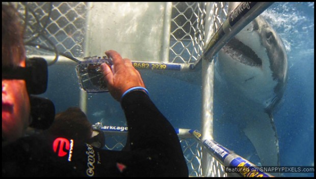 crazy-dangerous-photographers-11