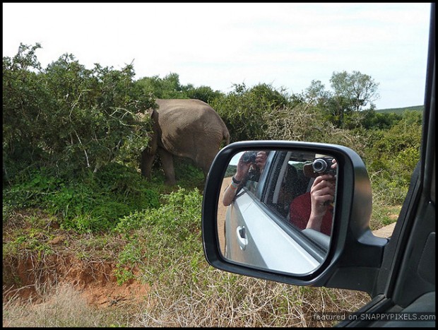 crazy-dangerous-photographers-12