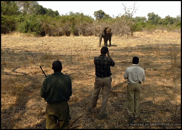 crazy-dangerous-photographers-13