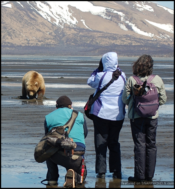 crazy-dangerous-photographers-19