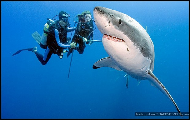 crazy-dangerous-photographers-26