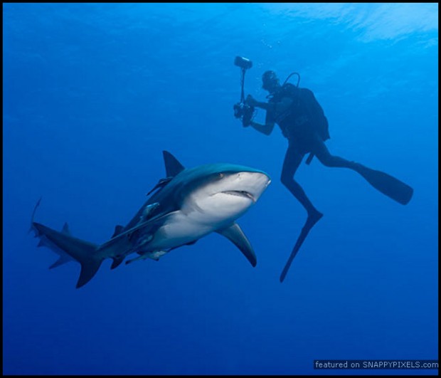 crazy-dangerous-photographers-27