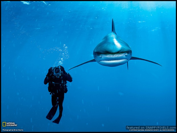 crazy-dangerous-photographers-5