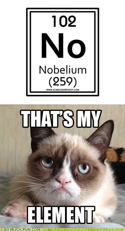 grumpy-cat-meme-sadden-your-day (10)