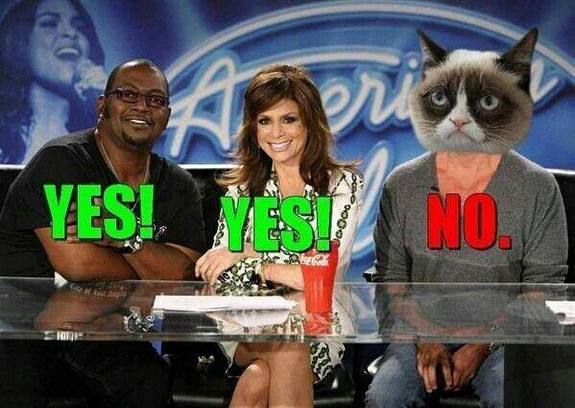 grumpy-cat-meme-sadden-your-day (13)