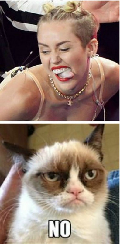 grumpy-cat-meme-sadden-your-day (16)
