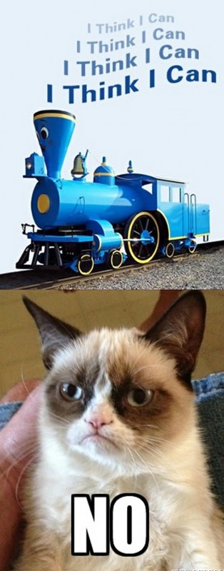 grumpy-cat-meme-sadden-your-day (18)