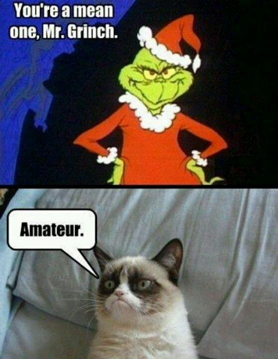 grumpy-cat-meme-sadden-your-day (19)
