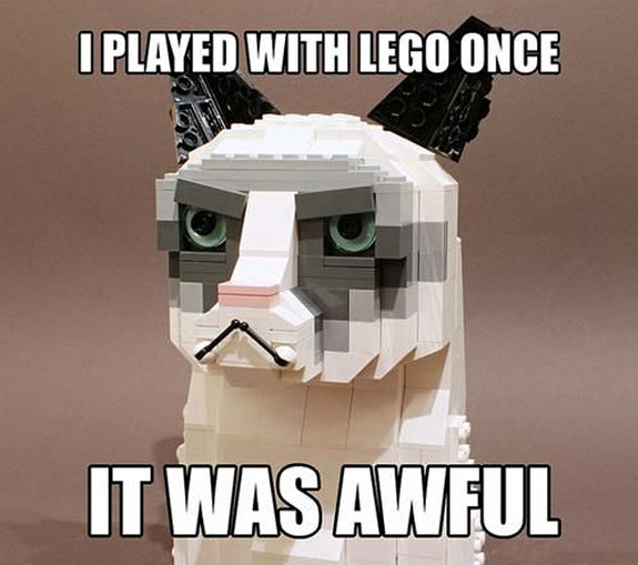 grumpy-cat-meme-sadden-your-day (26)