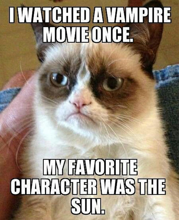 grumpy-cat-meme-sadden-your-day (27)