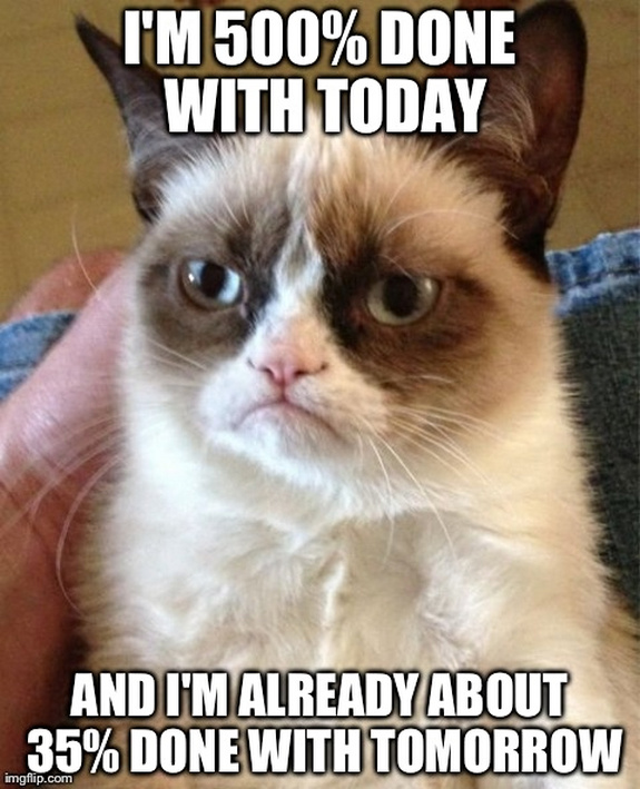 grumpy-cat-meme-sadden-your-day (28)