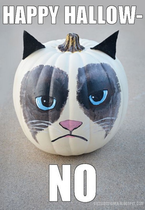 grumpy-cat-meme-sadden-your-day (29)