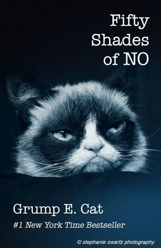 grumpy-cat-meme-sadden-your-day (33)