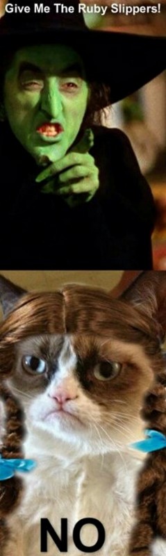 grumpy-cat-meme-sadden-your-day (9)