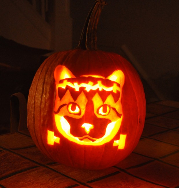 funny pumpkin17
