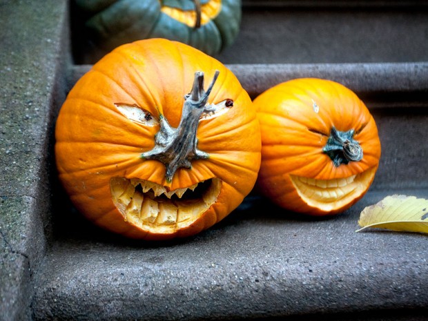 funny pumpkin3