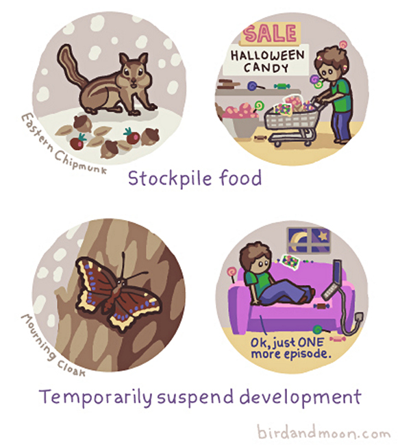 good-picture-dump (27)