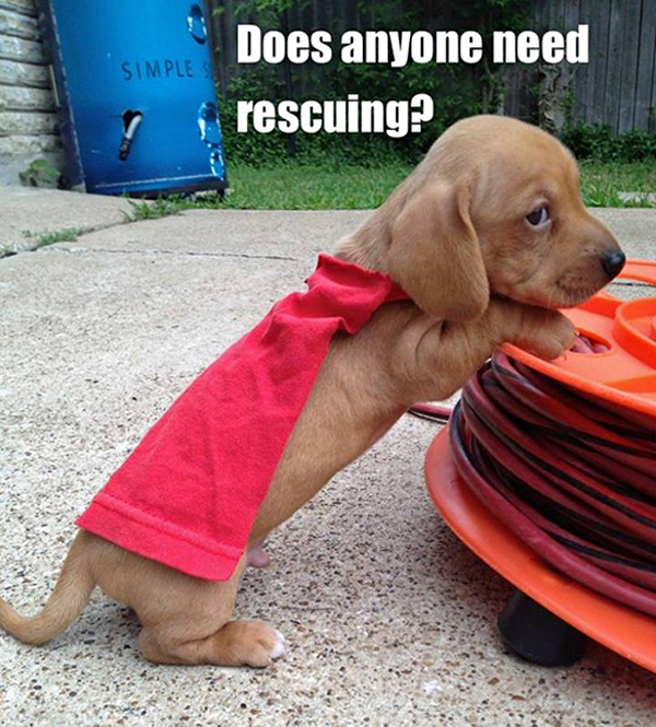 good-picture-dump (8)