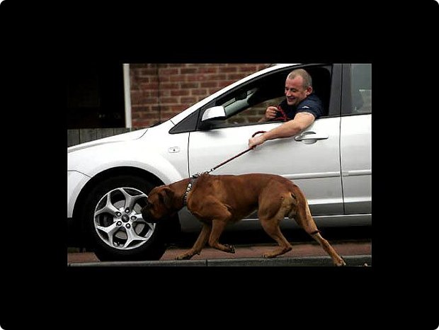 just-how-lazy-are-you-12