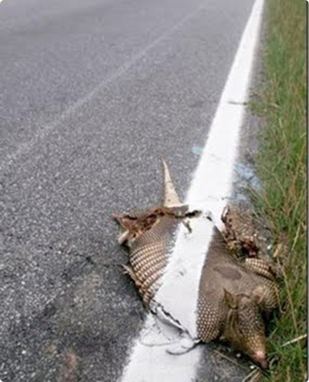 just-how-lazy-are-you-6