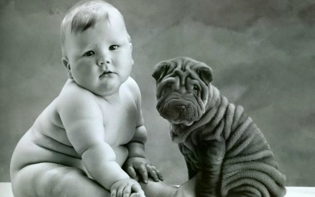 pictures-puppies-babies-26