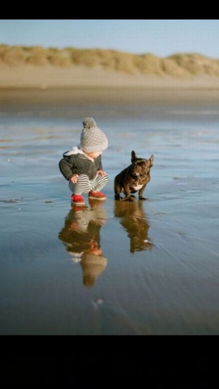 pictures-puppies-babies-6