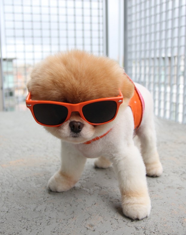 Orange sunglasses
