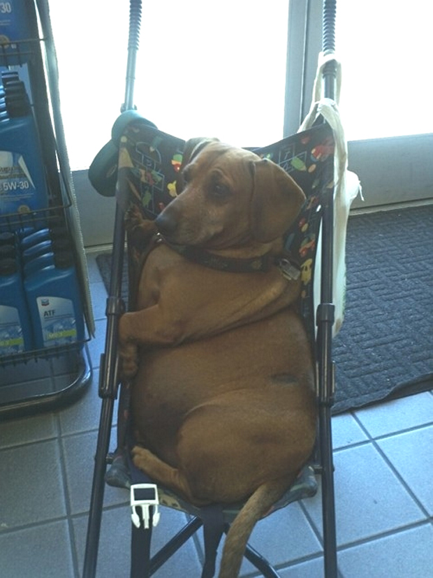 the-saddest-thing-you-will-see-13