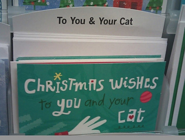 the-saddest-thing-you-will-see-14