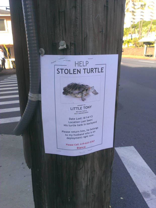 the-saddest-thing-you-will-see-27