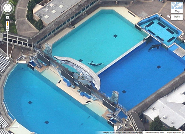 the-saddest-thing-you-will-see-30