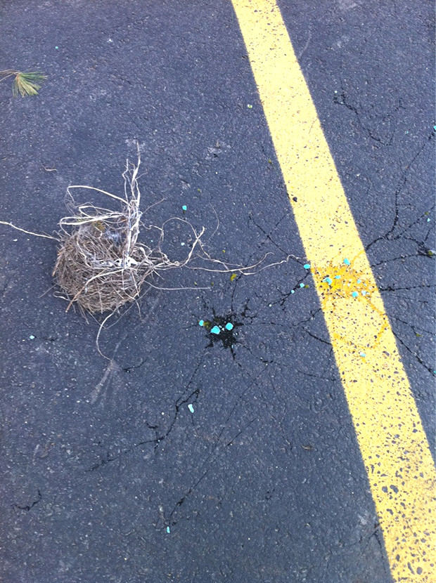 the-saddest-thing-you-will-see-37