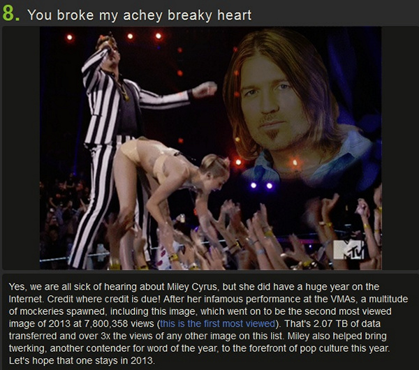 top-images-on-Internet-in-2013-6.jpg