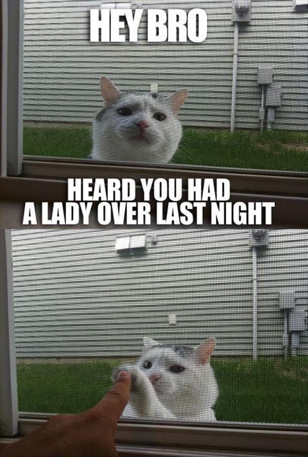 animal-pictures-with-captions-dumpaday-4