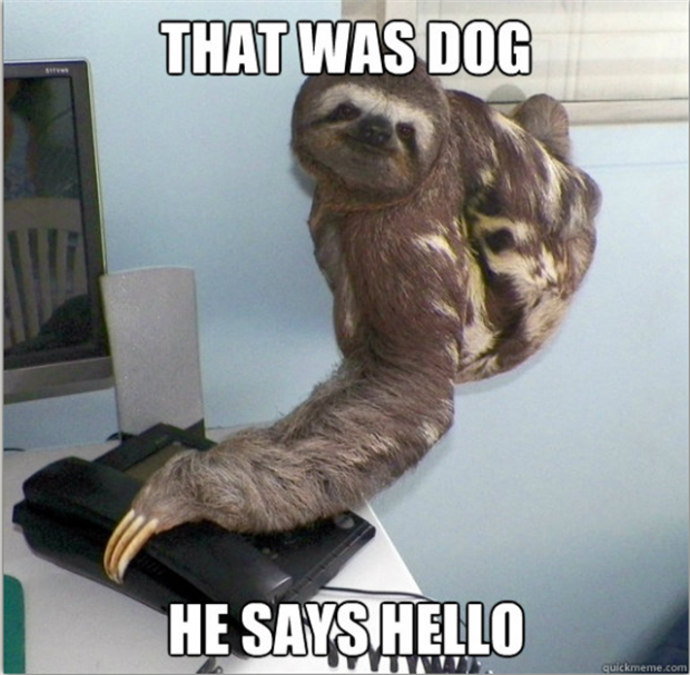 funny-animal-captions-019