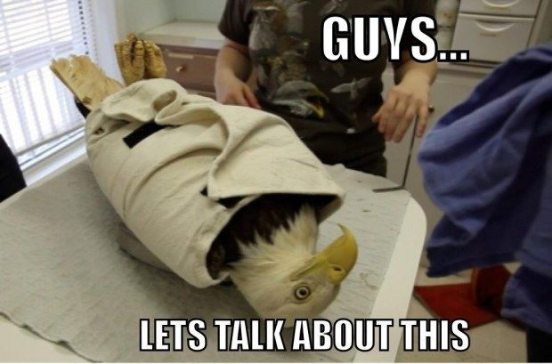 funny-animal-pictures-with-captions-009-015