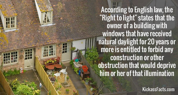 60-interesting-facts-48